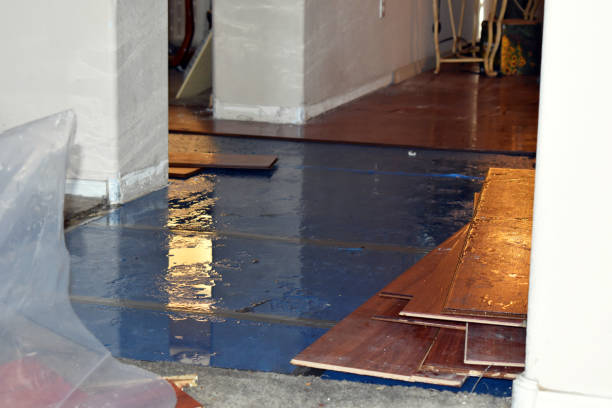 Professional Flood Cleanup technician working in North Branch, MI